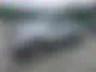Vehicle Image- 2008 Toyota Tacoma