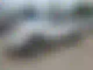 Vehicle Image- 2007 Toyota Tacoma