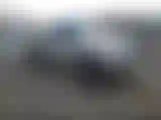 Vehicle Image- 2008 Toyota Tacoma