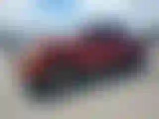 Vehicle Image- 2008 Toyota Tacoma