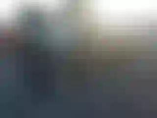 Vehicle Image- 2009 Toyota Tacoma