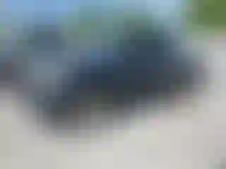 Vehicle Image- 2009 Toyota Tacoma
