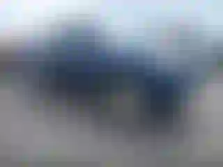 Vehicle Image- 2008 Toyota Tacoma