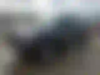 Vehicle Image- 2009 Toyota Tacoma