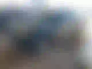 Vehicle Image- 2009 Toyota Tacoma