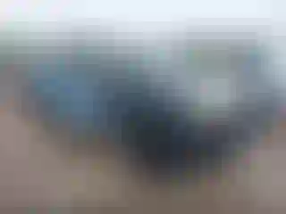 Vehicle Image- 2007 Toyota Tacoma
