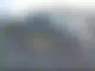 Vehicle Image- 2007 Toyota Tacoma