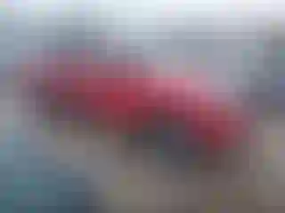 Vehicle Image- 2008 Toyota Tacoma