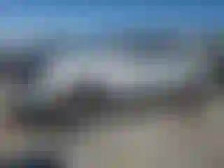 Vehicle Image- 2008 Toyota Tacoma
