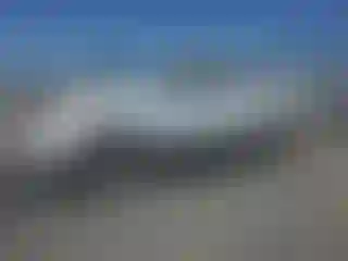 Vehicle Image- 2008 Toyota Tacoma