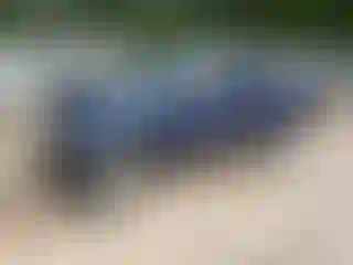 Vehicle Image- 2007 Toyota Tacoma