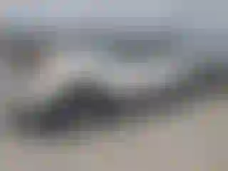 Vehicle Image- 2007 Toyota Tacoma