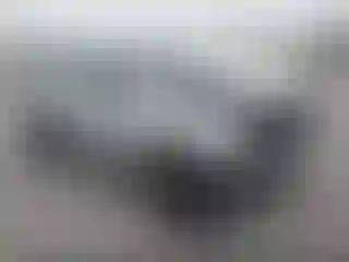 Vehicle Image- 2006 Toyota Tacoma