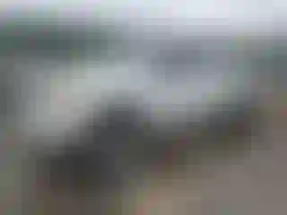 Vehicle Image- 2007 Toyota Tacoma