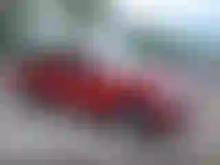 Vehicle Image- 2009 Toyota Tacoma