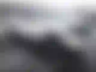 Vehicle Image- 2024 Toyota Tacoma