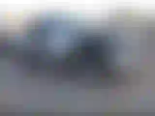Vehicle Image- 2024 Toyota Tacoma