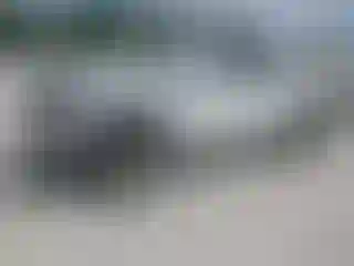 Vehicle Image- 2024 Toyota Tacoma