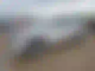 Vehicle Image- 2024 Toyota Tacoma