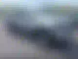 Vehicle Image- 2024 Toyota Tacoma