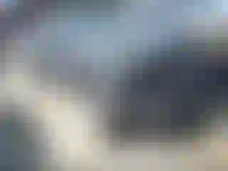 Vehicle Image- 2024 Toyota Tacoma