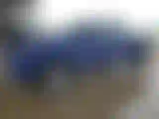 Vehicle Image- 2024 Toyota Tacoma