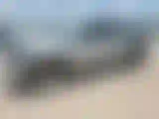 Vehicle Image- 2024 Toyota Tacoma