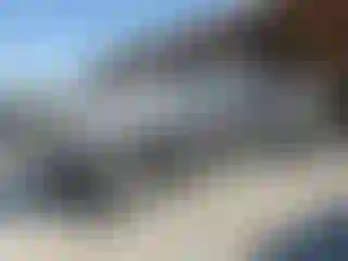 Vehicle Image- 2010 Toyota Tacoma