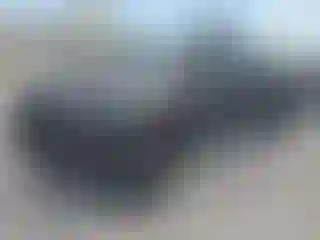 Vehicle Image- 2011 Toyota Tacoma