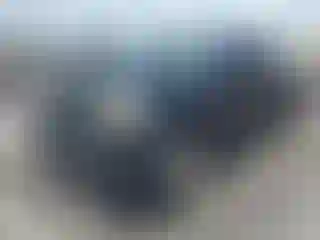 Vehicle Image- 2010 Toyota Tacoma