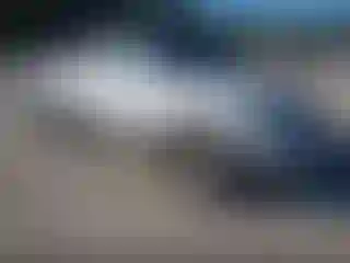 Vehicle Image- 2010 Toyota Tacoma