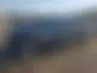 Vehicle Image- 2009 Toyota Tacoma