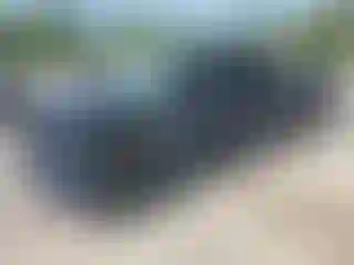 Vehicle Image- 2006 Toyota Tacoma