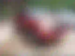 Vehicle Image- 2008 Toyota Tacoma