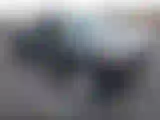 Vehicle Image- 2008 Toyota Tacoma