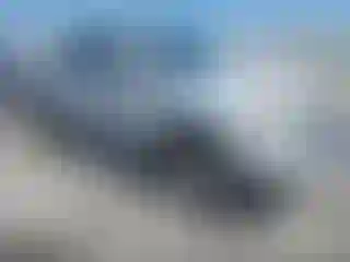 Vehicle Image- 2009 Toyota Tacoma
