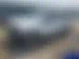 Vehicle Image- 2006 Toyota Tacoma