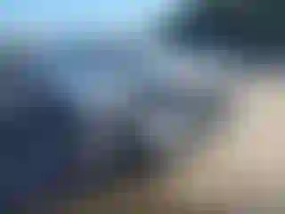 Vehicle Image- 2024 Toyota Tacoma