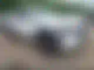 Vehicle Image- 2024 Toyota Tacoma
