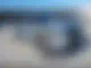 Vehicle Image- 2024 Toyota Tacoma