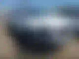 Vehicle Image- 2024 Toyota Tacoma