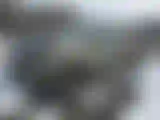 Vehicle Image- 2024 Toyota Tacoma