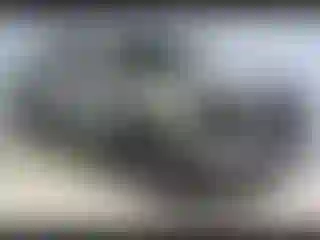 Vehicle Image- 2024 Toyota Tacoma