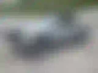 Vehicle Image- 2024 Toyota Tacoma