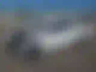 Vehicle Image- 2025 Toyota Tacoma