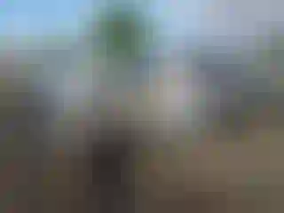 Vehicle Image- 2024 Toyota Tacoma