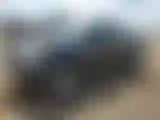 Vehicle Image- 2008 Toyota Tacoma