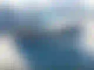 Vehicle Image- 2009 Toyota Tacoma