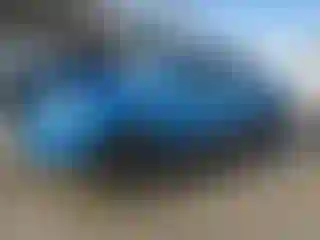 Vehicle Image- 2009 Toyota Tacoma