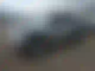 Vehicle Image- 2009 Toyota Tacoma